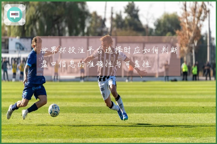 世界杯投注平台选择时应如何判断盘口信息的准确性与可靠性