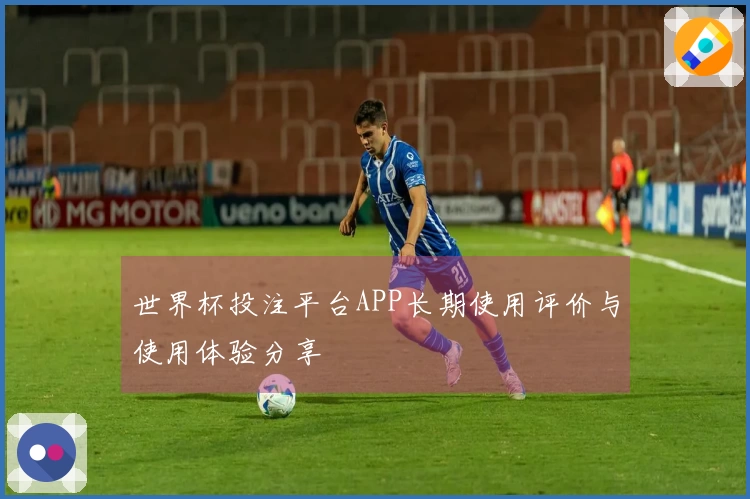 世界杯投注平台APP长期使用评价与使用体验分享