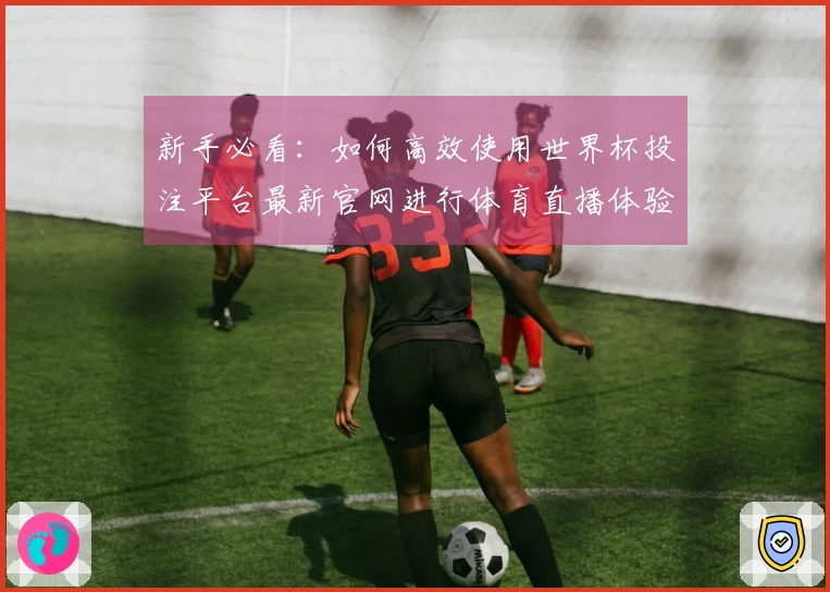 新手必看：如何高效使用世界杯投注平台最新官网进行体育直播体验
