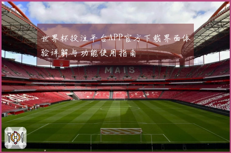 世界杯投注平台APP官方下载界面体验详解与功能使用指南