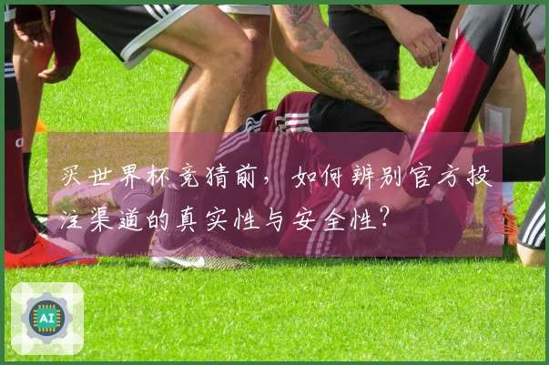买世界杯竞猜前，如何辨别官方投注渠道的真实性与安全性？