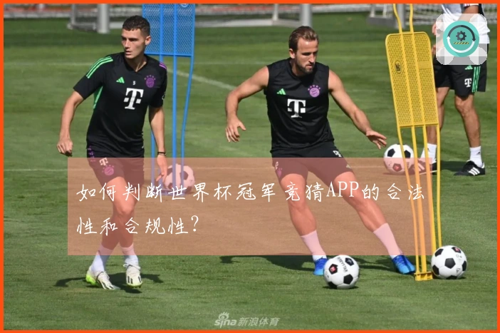 如何判断世界杯冠军竞猜APP的合法性和合规性？