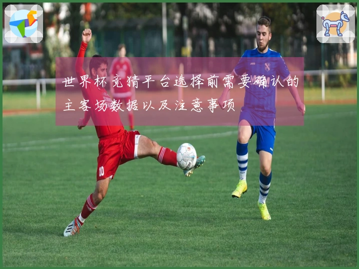 世界杯竞猜平台选择前需要确认的主客场数据以及注意事项