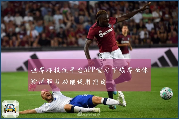 世界杯投注平台APP官方下载界面体验详解与功能使用指南
