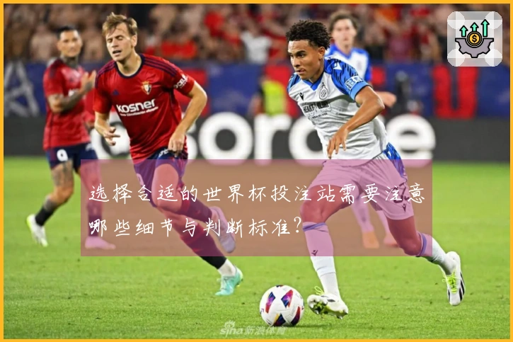 选择合适的世界杯投注站需要注意哪些细节与判断标准？