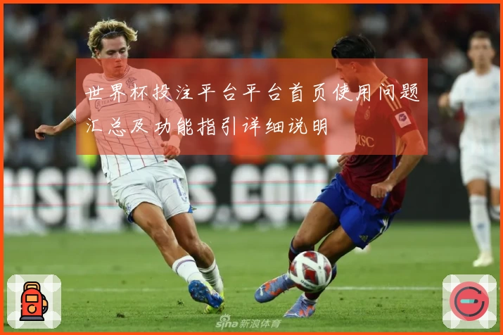 世界杯投注平台平台首页使用问题汇总及功能指引详细说明