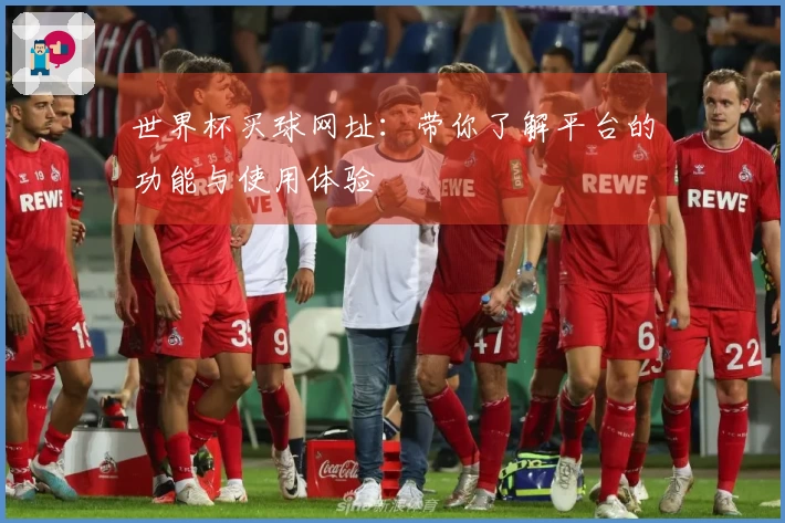 世界杯买球网址：带你了解平台的功能与使用体验