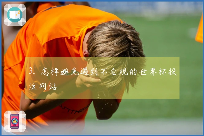 3. 怎样避免遇到不合规的世界杯投注网站